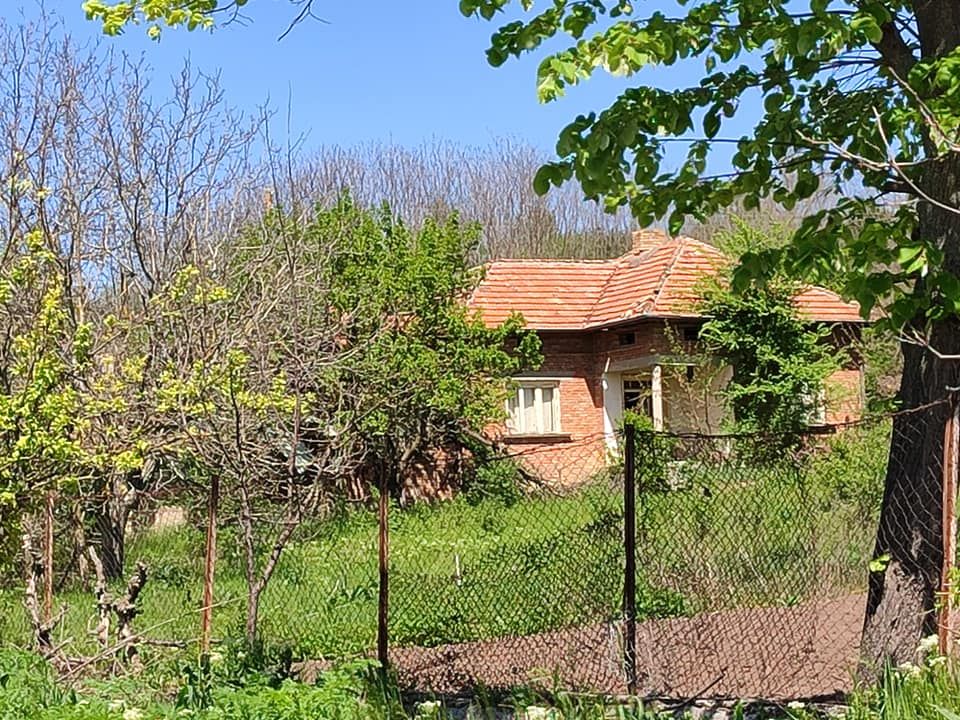 House for sale 2000 sq m code 1006