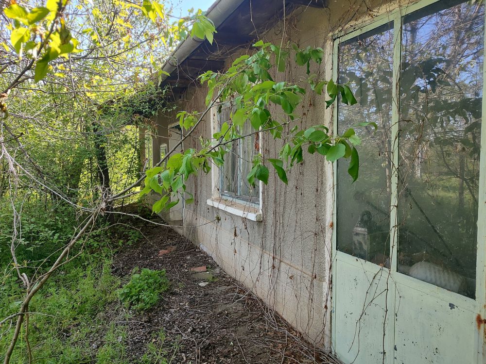 House for sale 2200 sq.m kod 1005