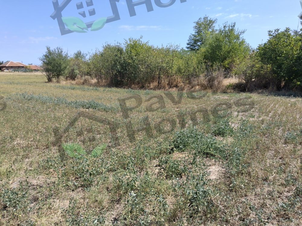 Land for sale in village of Pavel 
