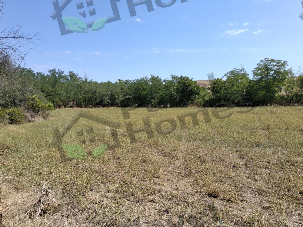 Land for sale in village of Pavel 
