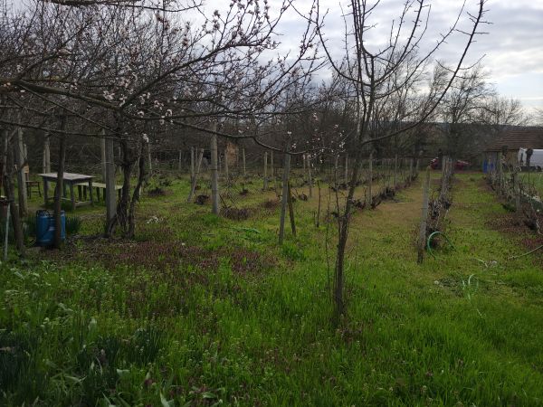 ​2-Bed Village House with Large Plot – Pavel