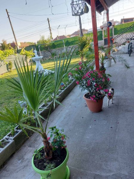 BEAUTIFUL HOUSE IN POLSKI TRAMBESH – 4 Rooms & BBQ Area