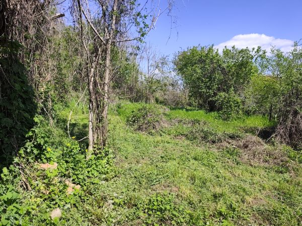 Full Renovation Project: Potential-Packed Home in Borobo