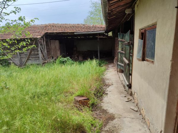 House for sale 2000 sq m code 1006