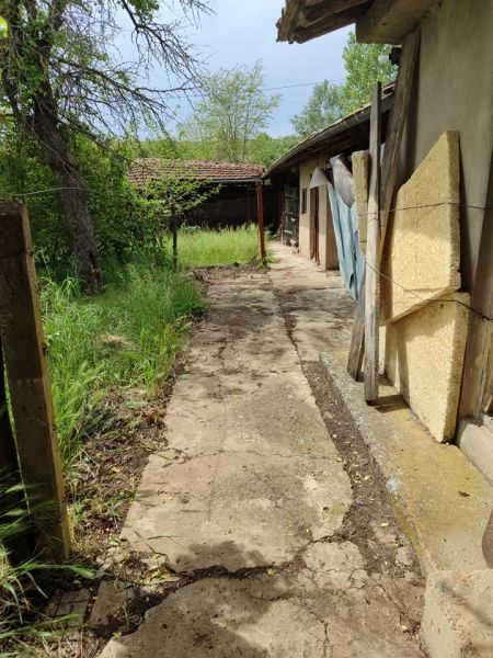 House for sale 2000 sq m code 1006