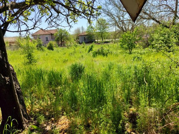 House for sale 2000 sq m code 1006