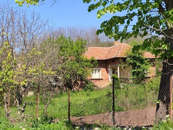 House for sale 2000 sq m code 1006