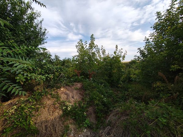 House for sale in Strahilovo 