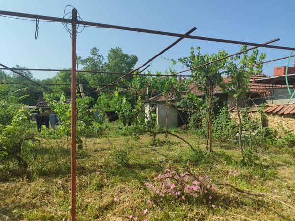 House for sale in village of Dolna Lipnitsa 