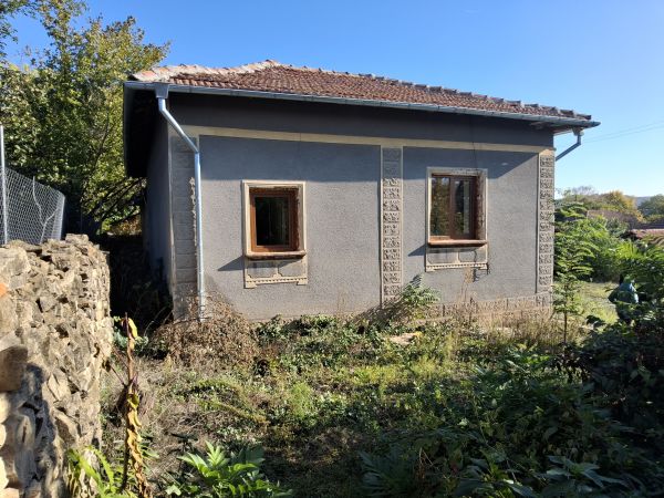 House for sale in village of Dolna Lipnitsa 