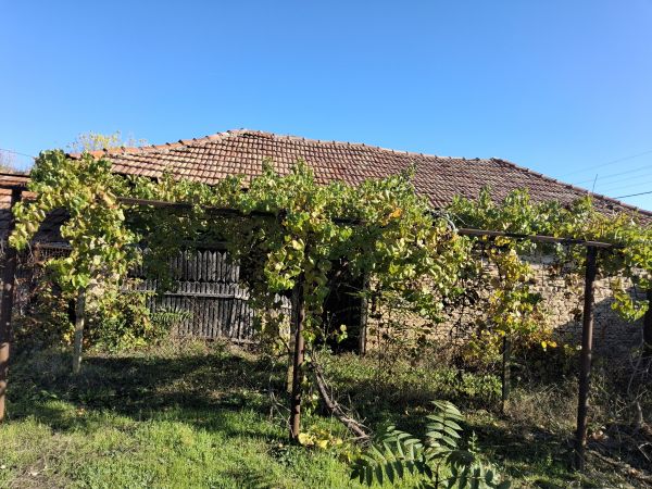 House for sale in village of Dolna Lipnitsa 