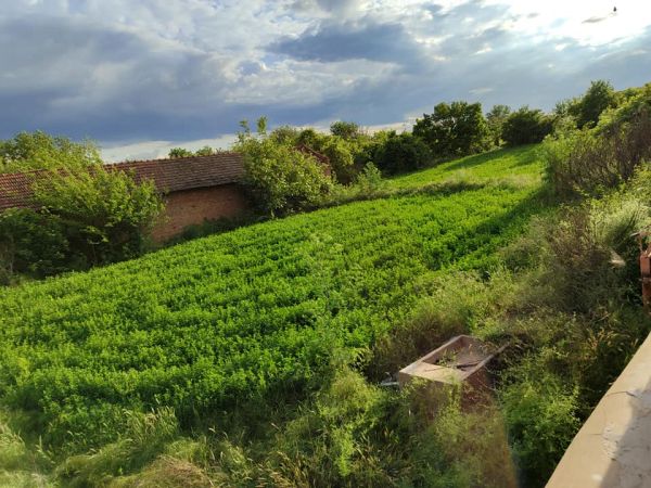House for sale in village of Pavel 