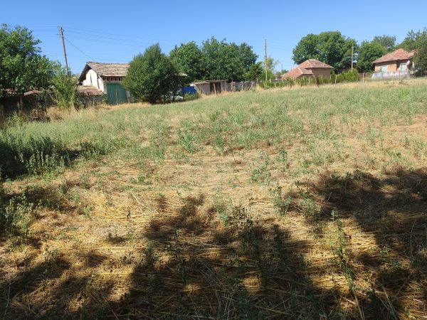 House for sale in village of Pavel 