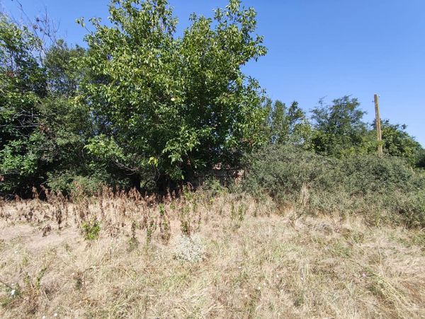 House for sale in village of Pavel 