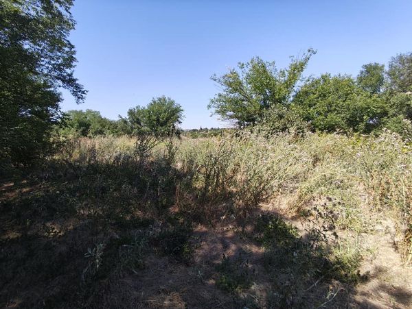 House for sale in village of Pavel 