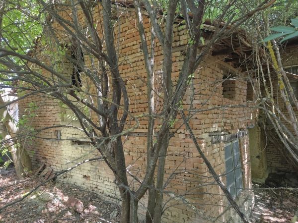 House for sale in village of Pavel 