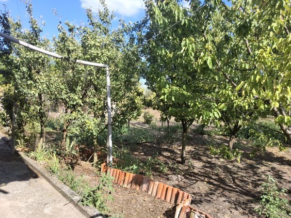 House for sale in village of Pavel 