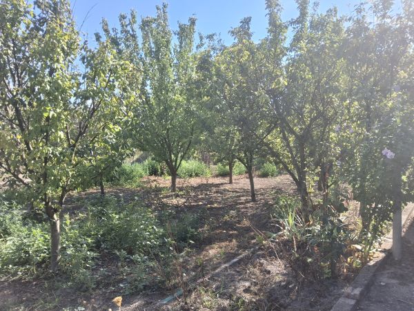 House for sale in village of Pavel 