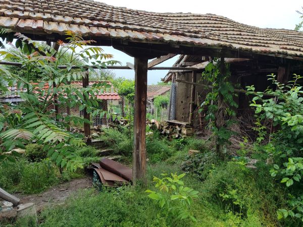 House for sale in village of Pavel kode 1011