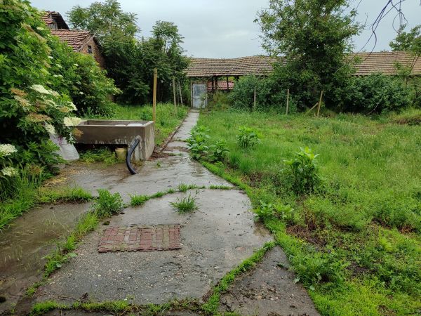 House for sale in village of Pavel kode 1011