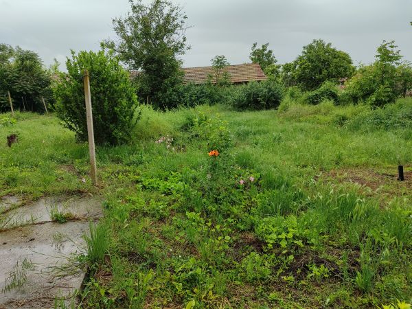 House for sale in village of Pavel kode 1011