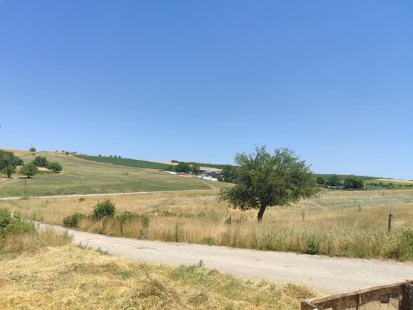 House for sale in village of Strahilovo