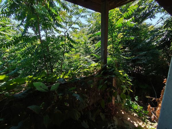 House for sale in village of Strahilovo 