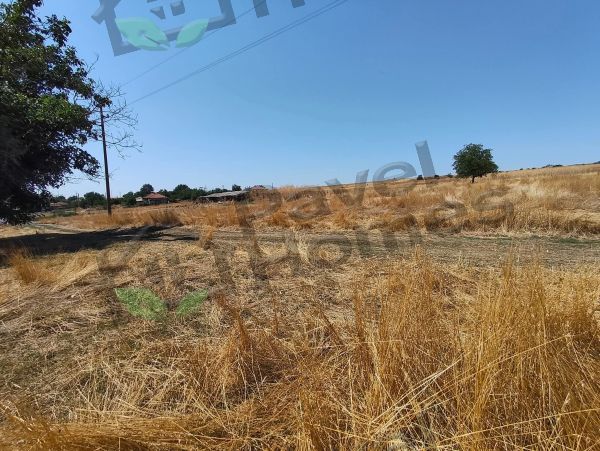 House for sale in village of Strahilovo 