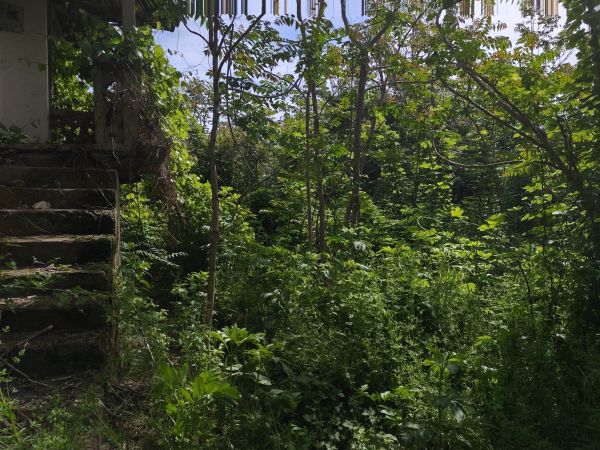 House for sale in village of Strahilovo 
