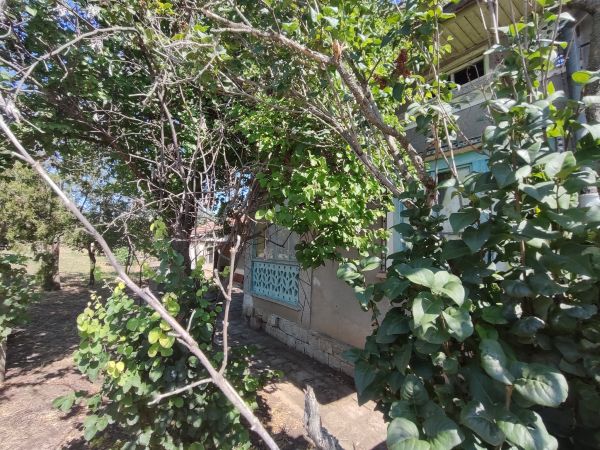 House for sale kod 1004 