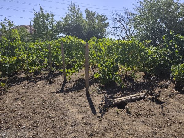 House for sale kod 1004 