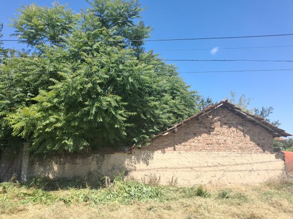 House for sale with barn, garden 2100 meters in Pavel village
