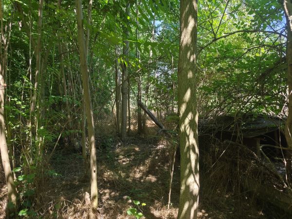 House for sale with barn, garden 2100 meters in Pavel village