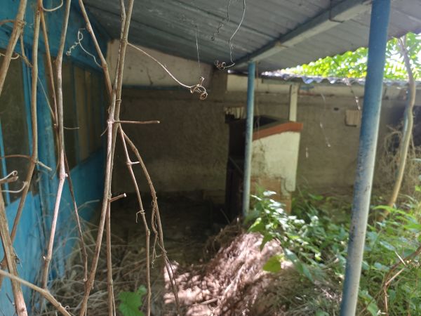 House for sale with barn, garden 2100 meters in Pavel village