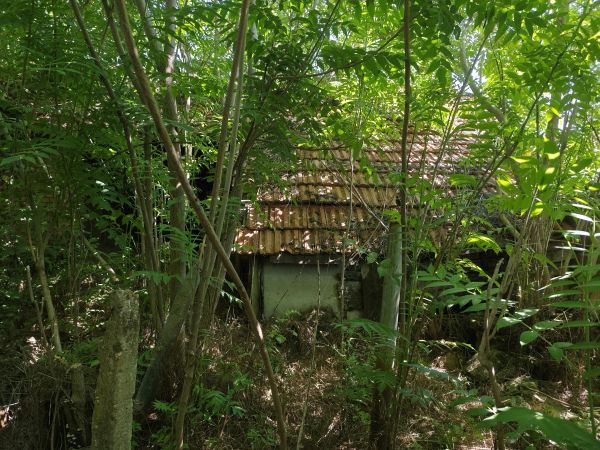 House for sale with barn, garden 2100 meters in Pavel village