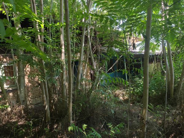 House for sale with barn, garden 2100 meters in Pavel village