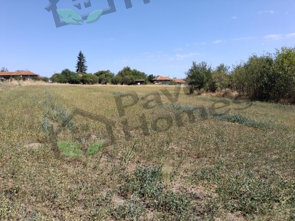 Land for sale in village of Pavel 