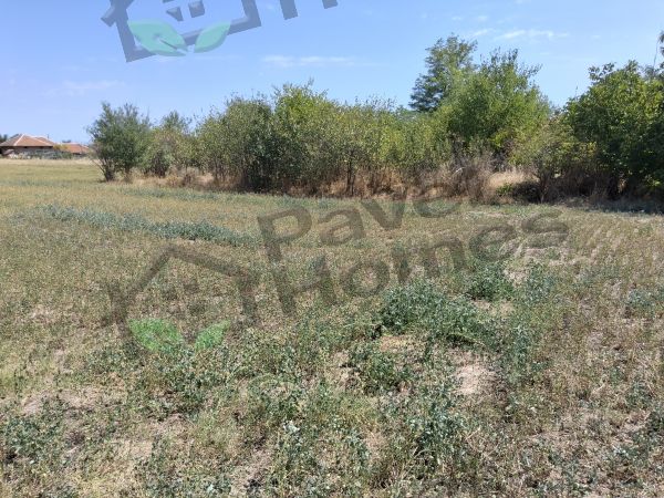 Land for sale in village of Pavel 