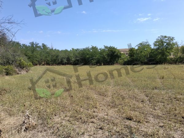 Land for sale in village of Pavel 