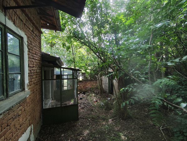 RENOVATION PROJECT – Country House with 1,600 sqm Land for Only €10,000