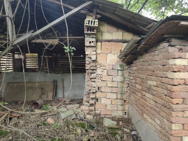 RENOVATION PROJECT – Country House with 1,600 sqm Land for Only €10,000