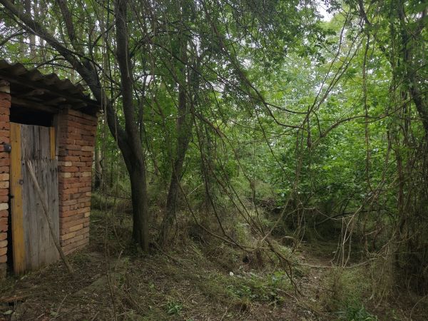 RENOVATION PROJECT – Country House with 1,600 sqm Land for Only €10,000