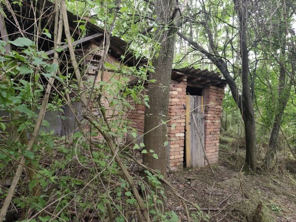 RENOVATION PROJECT – Country House with 1,600 sqm Land for Only €10,000