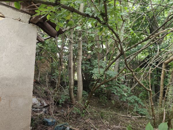 RENOVATION PROJECT – Country House with 1,600 sqm Land for Only €10,000