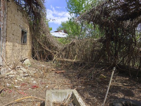 RENOVATION PROJECT: TRADITIONAL HOME + LARGE PLOT (1,465 sqm) in Borovo– €10,000