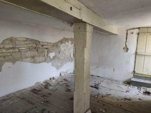 RENOVATION PROJECT: TRADITIONAL HOME + LARGE PLOT (1,465 sqm) in Borovo– €10,000