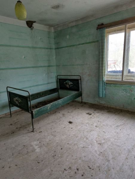 Renovation Project with Large Plot in Saedinenie 