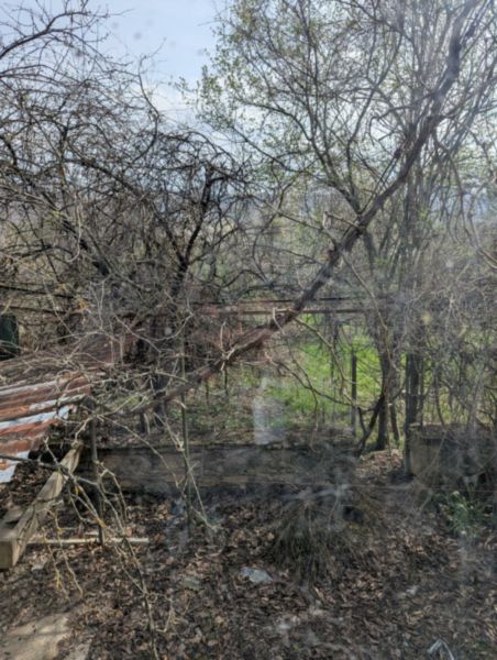 Renovation Project with Large Plot in Saedinenie 