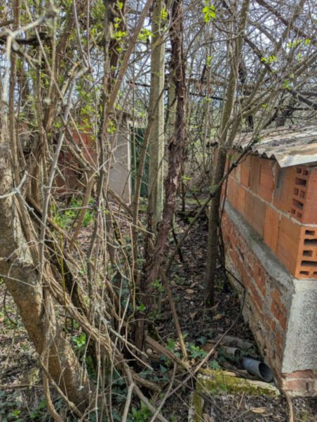 Renovation Project with Large Plot in Saedinenie 