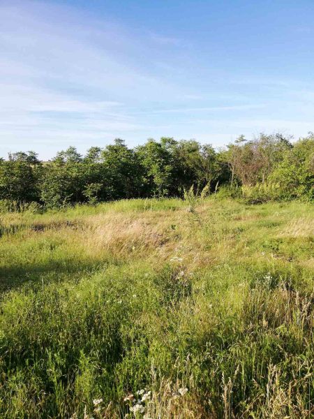 Large 2,500 sq.m Plot with House Footprint for Renovation or New Build | Septemvriytsi